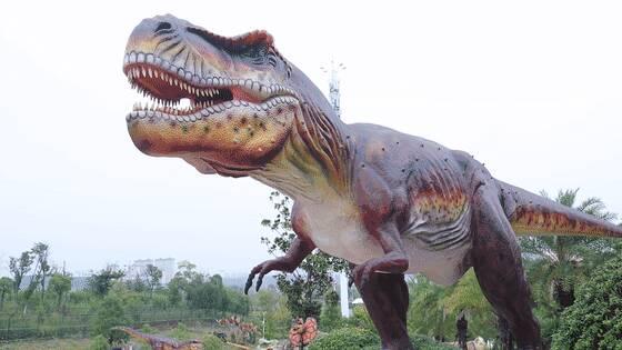 一季倾城梦，一季倾城梦小说免费阅读（五一假期来三水源开启奇妙之旅图片）