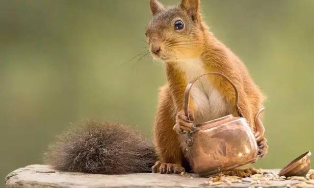 一季倾城梦，一季倾城梦小说免费阅读（五一假期来三水源开启奇妙之旅图片）