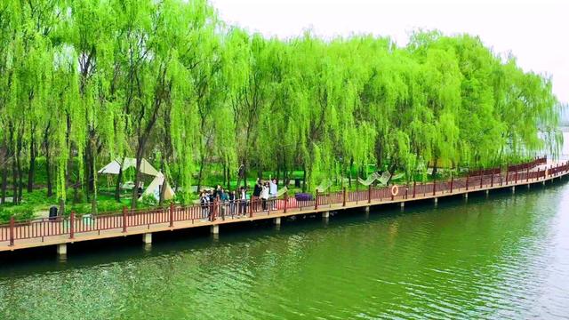 一季倾城梦，一季倾城梦小说免费阅读（五一假期来三水源开启奇妙之旅图片）