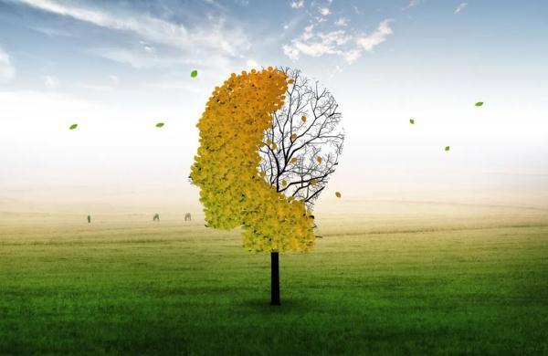 大脑训练方法，大脑训练方法经典书籍（肚子越大，脑子越慢）