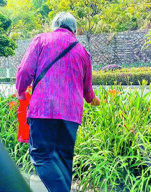 萱草花和黄花菜是一个东西吗，十种阴气重的花（厦门一绿化带大花萱草被摘走）