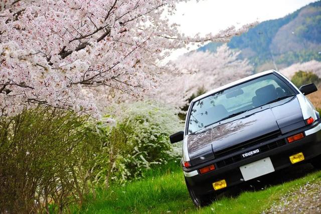 丰田ae86多少钱一辆，国内二手ae86多少钱一辆（你都不好意思说你是玩车模）