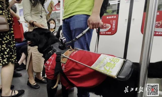 武汉坐地铁流程，坐武汉地铁的流程（武汉地铁乘车有新变化）