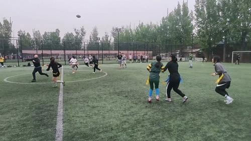 橄榄球的注意事项，橄榄球的相关知识（户外运动青睐“小众玩法”）