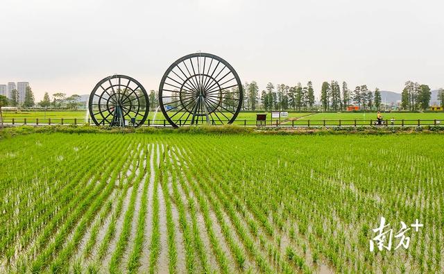 红博城有什么特色，红博城有什么特色美食（“五一”在中山怎么玩）