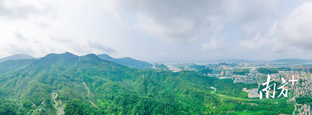 红博城有什么特色，红博城有什么特色美食（“五一”在中山怎么玩）
