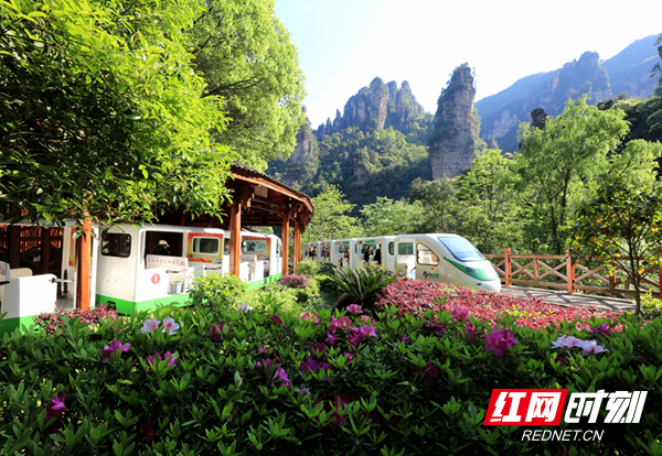 张家界旅游线路，张家界旅游自由行最佳路线图（这么近·那么美丨“五一”张家界四大景区免票）