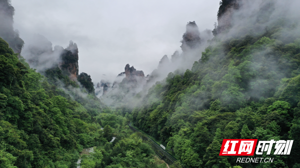 张家界旅游线路，张家界旅游自由行最佳路线图（这么近·那么美丨“五一”张家界四大景区免票）
