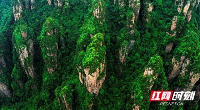 张家界旅游线路，张家界旅游自由行最佳路线图（这么近·那么美丨“五一”张家界四大景区免票）