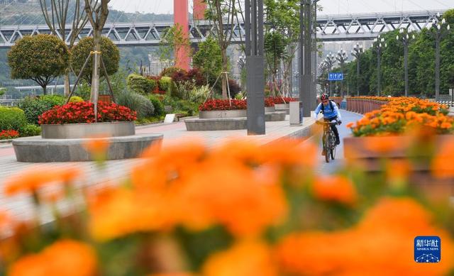 植物大战僵尸社区版，植物大战僵尸社区版游戏解说（山城步道、特色公园成重庆新名片）