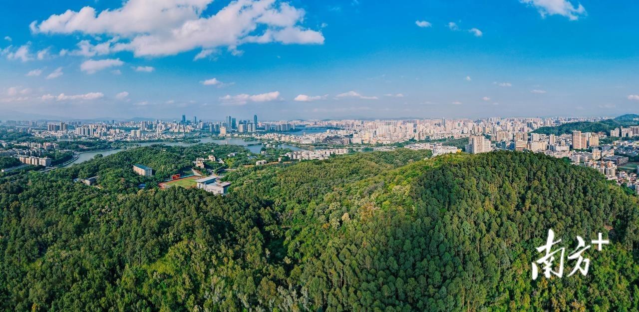 惠州限购吗(2022年惠州买房需要什么条件)