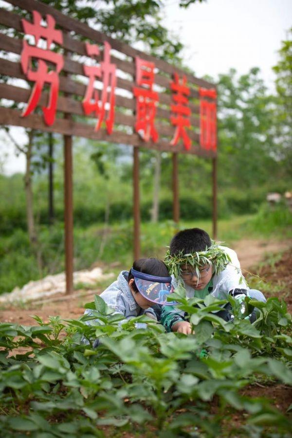 五一适合去哪里旅游，五一假期旅游（武汉市民在家门口发掘出宝藏打卡地）