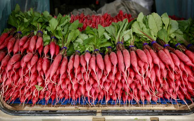 新发地蔬菜批发市场官网价格，西安今日蔬菜价格表（北京新发地蔬菜价格降至今年春节以来最低点）