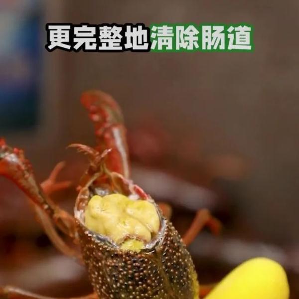 如何清洗虾尾，才能洗得干净，吃得放心