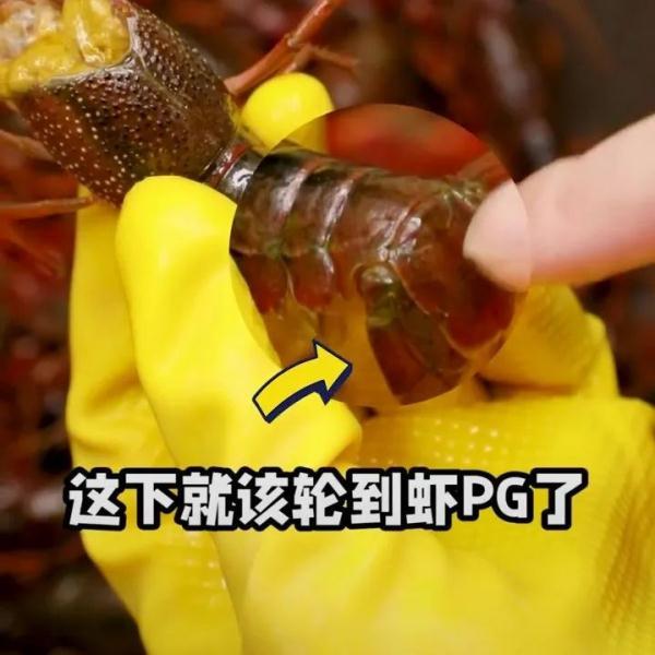 如何清洗虾尾，才能洗得干净，吃得放心