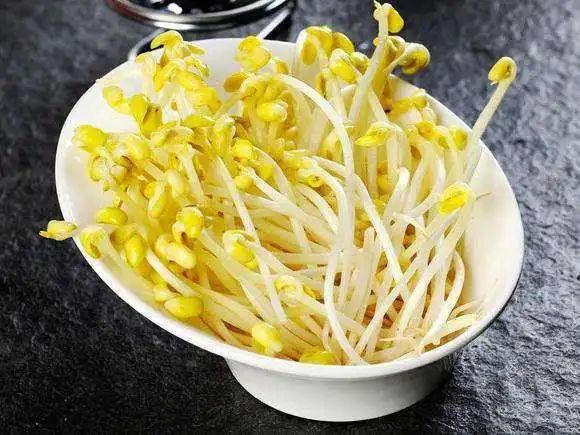 自制黄豆芽，自制黄豆芽几天发芽（为你的餐桌添个菜吧）