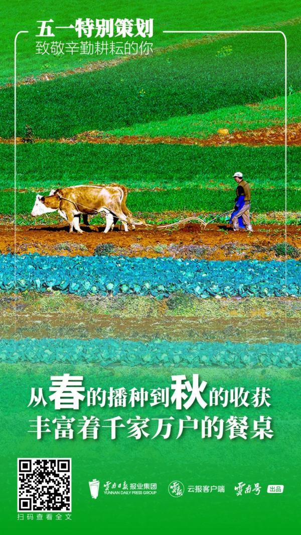 岁月静好近义词，岁月是什么意思解释（致敬每一个平凡而努力的你）