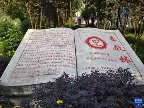 西部志愿者计划，西部温暖计划志愿服务（逐梦西部天地宽――大学生志愿服务西部计划扫描）
