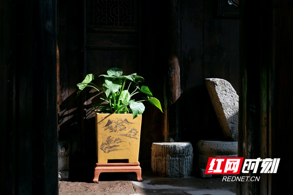 凤凰古城图片，组图丨凤凰古城（凤凰古城照片）