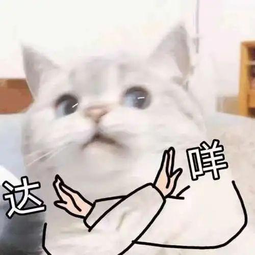 心理素质展示怎么写，综评心理素质展示怎么写（第一届“00后”已经22岁了）