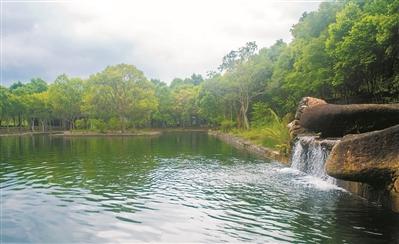 广州从化博雅山房介绍，博雅山房电话（鱼中贵族 流溪游弋）