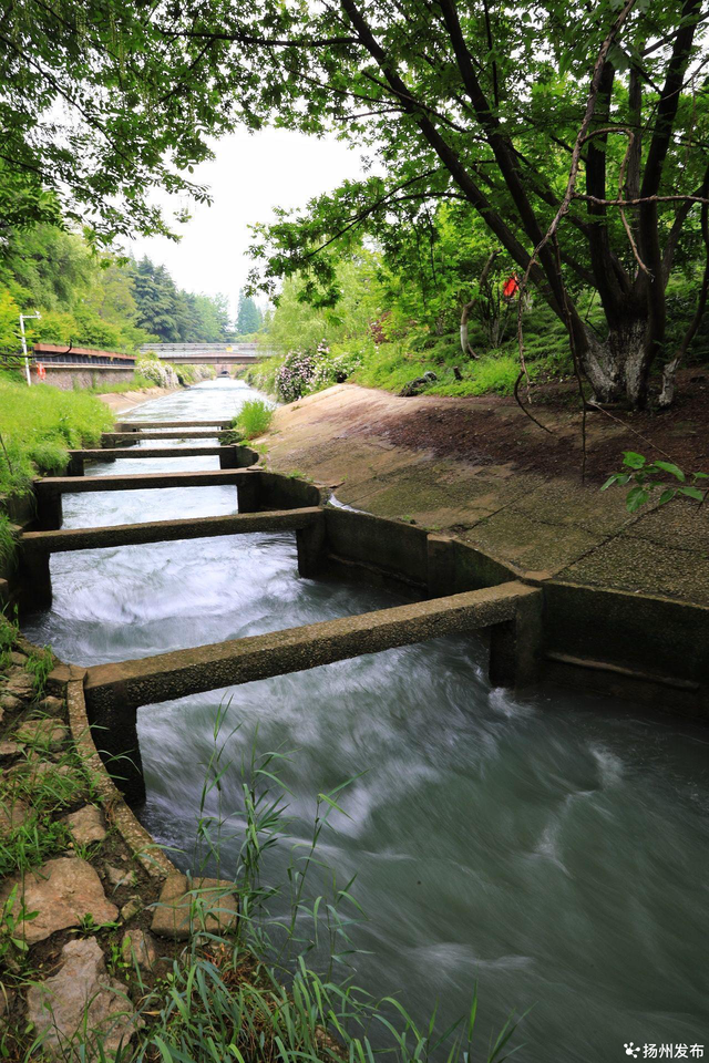鱼类洄游特点，鱼类洄游的特点（忍不住化身一条自由的鱼）