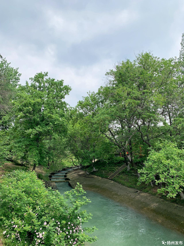 鱼类洄游特点，鱼类洄游的特点（忍不住化身一条自由的鱼）