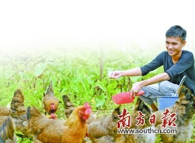 谁有场地我想合作养殖(室内养殖有什么好项目)