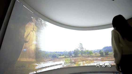 吉安旅游一定要去的8个景点，吉安有哪些景点可以游玩啊（2022年吉安市旅游产业高质量发展大会马上要召开啦）