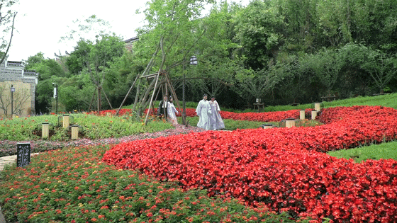 吉安旅游一定要去的8个景点，吉安有哪些景点可以游玩啊（2022年吉安市旅游产业高质量发展大会马上要召开啦）