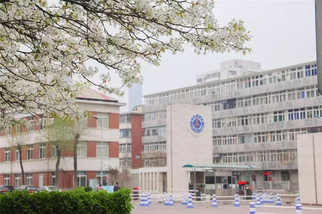 广西医科大学是985大学还是211大学，广西医科大学属于985吗（大学丨这是“医科”命名的大学中唯一的211）