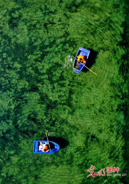 湖州是哪个省的，湖州属于哪个省（浙江湖州：守护碧水美家园）