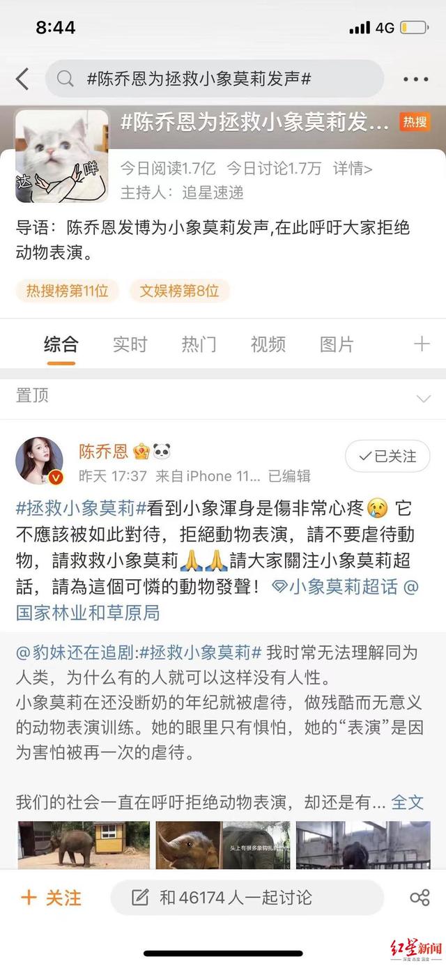 狗粉是什么意思，老狗粉是什么意思（拯救莫莉的“象粉”）