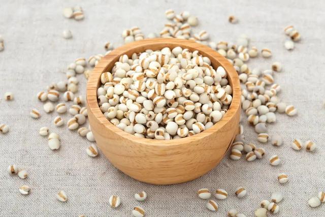 粟米和小米的区别，大米小米有什么区别（健脾祛湿、补虚助眠）