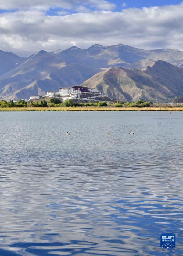 日光城是哪个城市，日光城指的是哪个城市（“高原水城”拉萨）