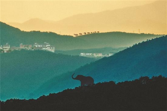 Lay Low  微信昵称（保持低调网名，Lay Low  (保持低调)微信昵称（纪录片要长在大家的关注点上）