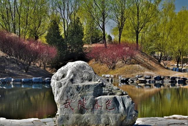 狮子林平面图，狮子林平面图抄绘（圆明园与皇家园林中的精神世界）