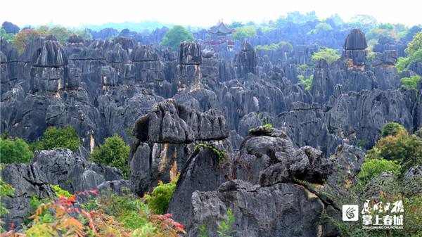 石林风景区门票价格，石林风景门票价（这些人群可免费游石林风景区）