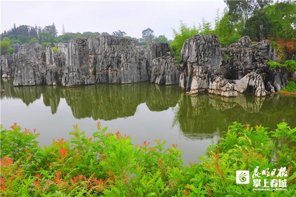 石林风景区门票价格，石林风景门票价（这些人群可免费游石林风景区）