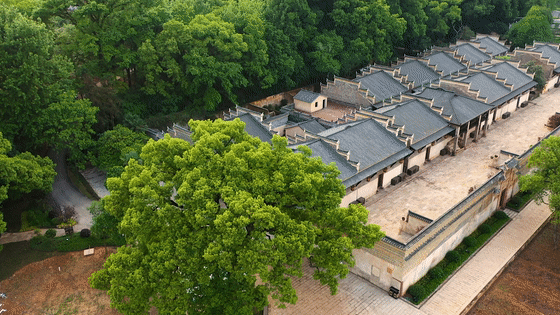 吉安旅游一定要去的8个景点，吉安有哪些景点可以游玩啊（2022年吉安市旅游产业高质量发展大会马上要召开啦）