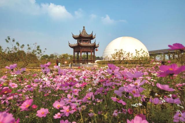 吉安旅游一定要去的8个景点，吉安有哪些景点可以游玩啊（2022年吉安市旅游产业高质量发展大会马上要召开啦）