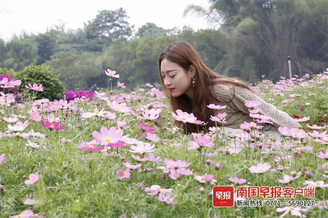 南宁附近花海景点推荐，南宁这几处花海，美了