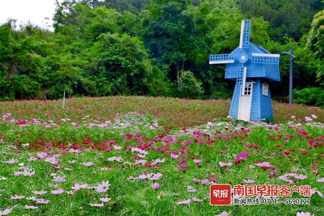 南宁附近花海景点推荐，南宁这几处花海，美了