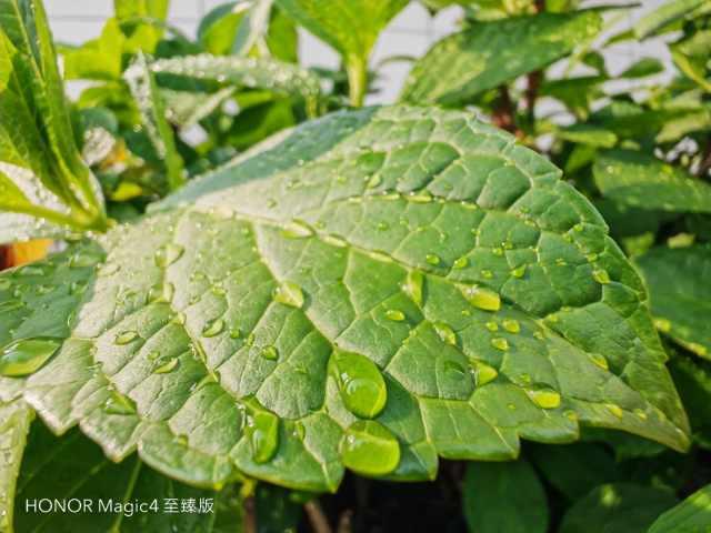 笔记本电脑可以拍照吗，适合摄影师的笔记本电脑（爱拍照的你99%无法拒绝）