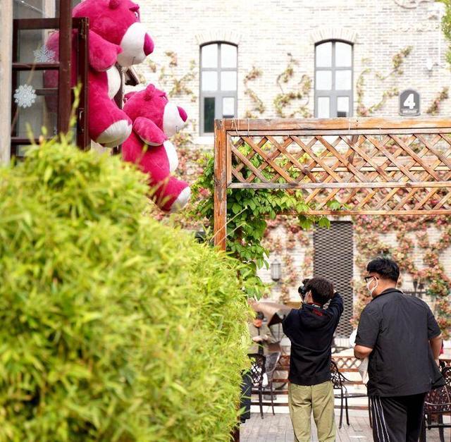 草莓熊，草莓熊简笔画（百年老建筑爬满“草莓熊”图片）