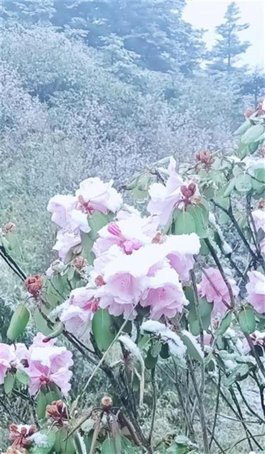 湖北冬季下雪最多的地方，湖北这里现夏日冰雪奇观