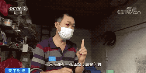 出售宠物，注意：这样做可能违法️（卖宠物在哪个平台好卖）