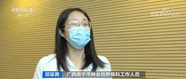 出售宠物，注意：这样做可能违法️（卖宠物在哪个平台好卖）