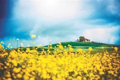五月的花有什么，五月的花有什么丁香花的诗句（各国“五月民俗”你了解吗）