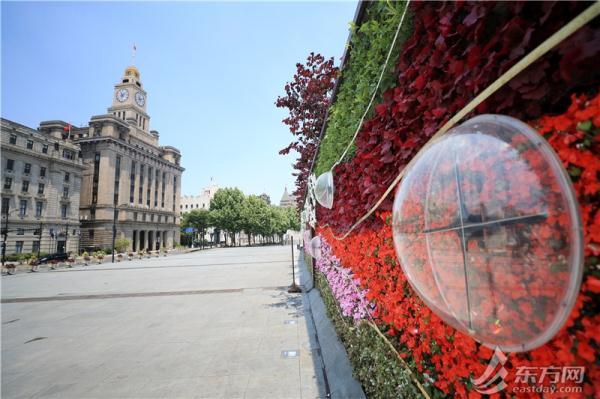凤仙花栽培介绍，凤仙花栽培记录（以更美的面貌迎接复工复产）
